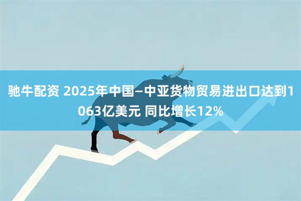 驰牛配资 2025年中国—中亚货物贸易进出口达到1063亿美元 同比增长12%