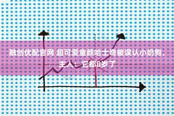 融创优配官网 超可爱童颜哈士奇被误认小奶狗，主人：它都8岁了