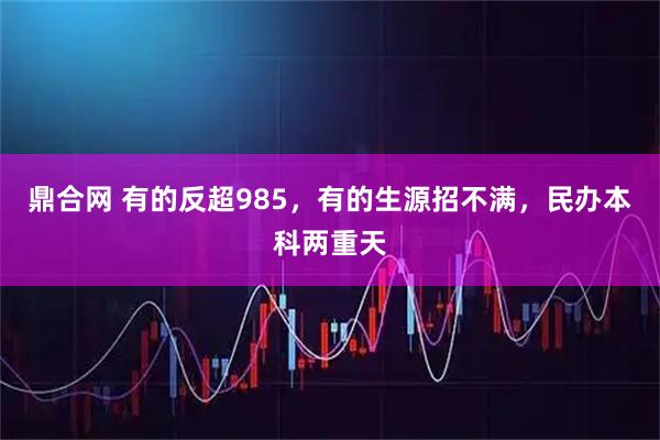 鼎合网 有的反超985，有的生源招不满，民办本科两重天