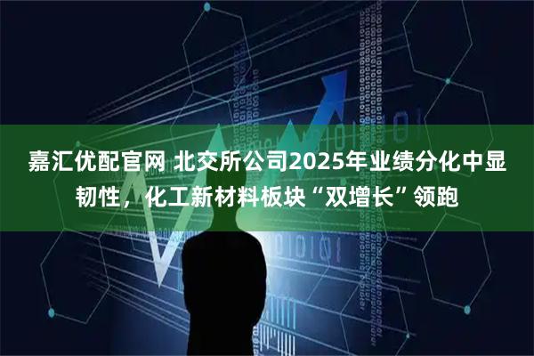 嘉汇优配官网 北交所公司2025年业绩分化中显韧性，化工新材料板块“双增长”领跑